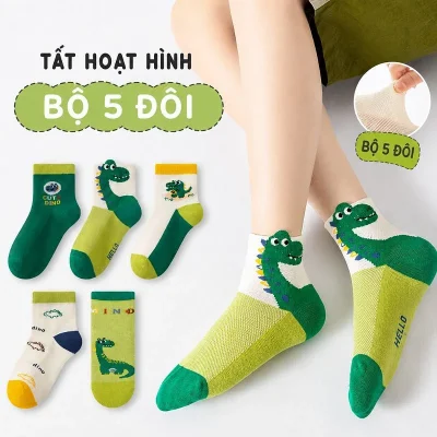 Set 5 Đôi Tất Lưới Cho Bé Trai Bé Gái 1-12 Tuổi Mẫu Khủng Long T24