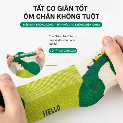 Set 5 Đôi Tất Lưới Cho Bé Trai Bé Gái 1-12 Tuổi Mẫu Khủng Long T24 - Ảnh 4